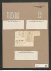 Navicula forcipata Grev. (de-Toni-Nr.: Genus 1, Species 332) Zeichnungen Sammlung Grunow Nr. 767 (NHMW-BOT-W0367171)